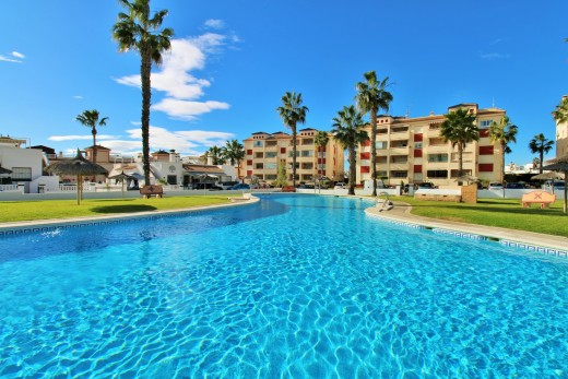Apartamento - Reventa - Playa Flamenca - Playa Flamenca