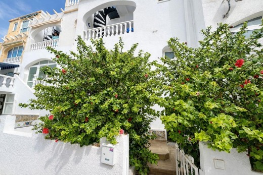 Apartment - Resale - San Miguel de Salinas - Las filipinas