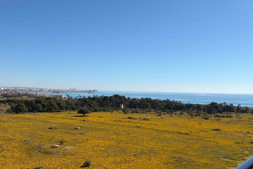  - Återförsäljning - Orihuela Costa - Punta Prima