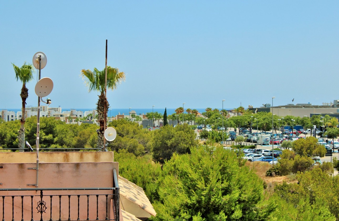 Återförsäljning -  - Playa Flamenca