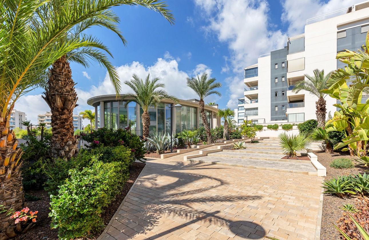 Reventa - Apartamento - Orihuela Costa - Villamartin