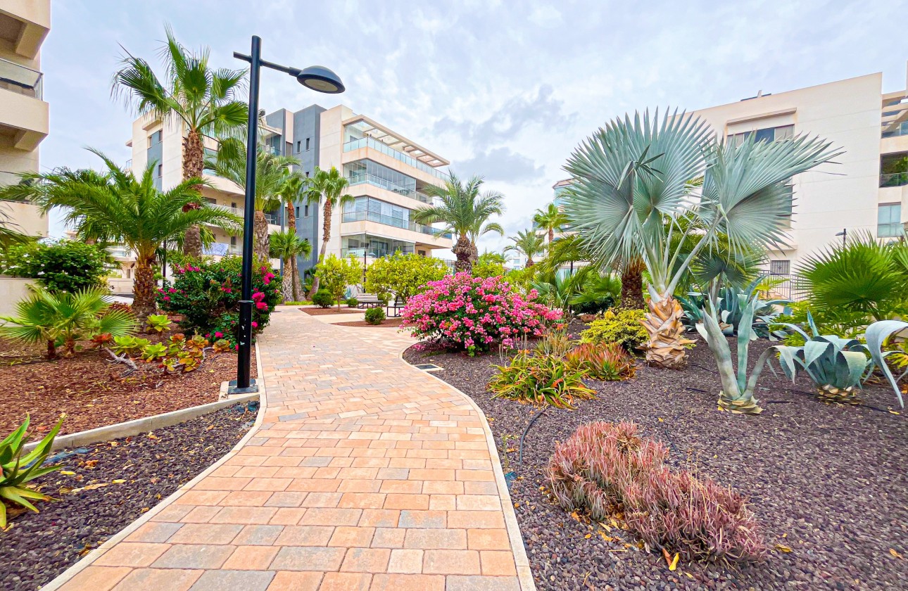 Reventa - Apartamento - Orihuela Costa - Villamartin