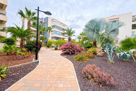 Reventa - Apartamento - Orihuela Costa - Villamartin