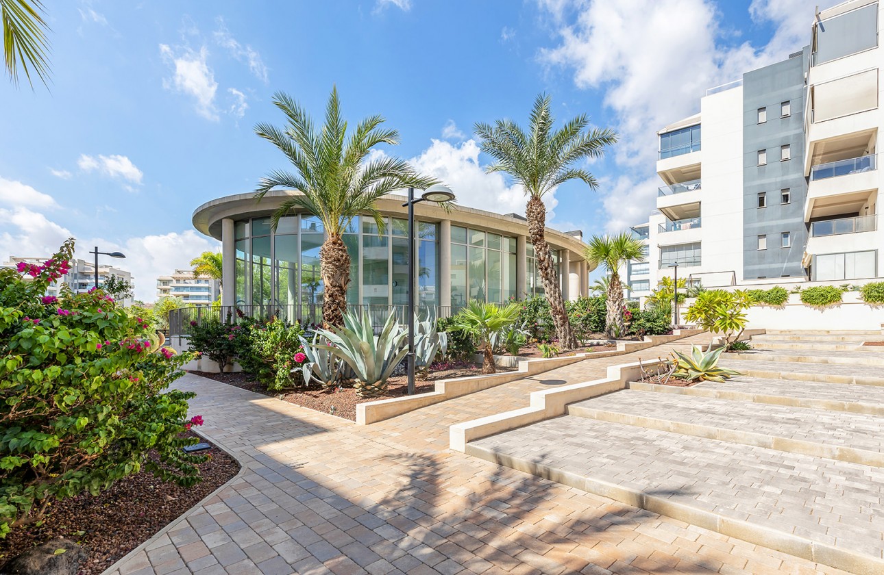 Reventa - Apartamento - Orihuela Costa - Villamartin