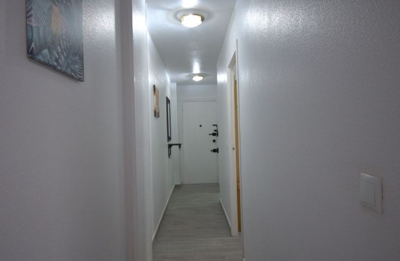 Reventa - Apartamento - Torrevieja
