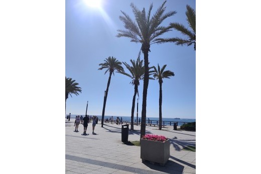 Resale - Apartment - Torrevieja Centro - Torrevieja