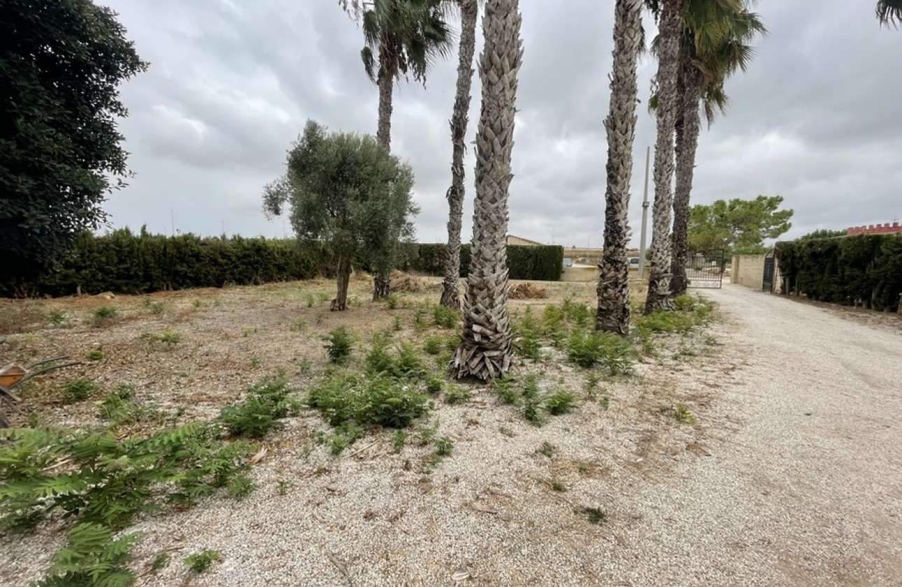 Reventa - FincaCountry House - Daya Vieja