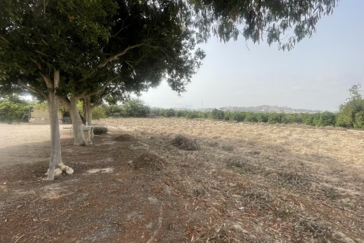 Reventa - finca - Rojales