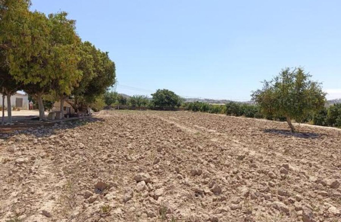 Reventa - finca - Rojales