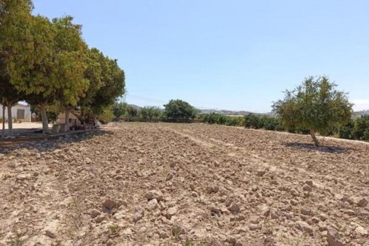 Reventa - finca - Rojales