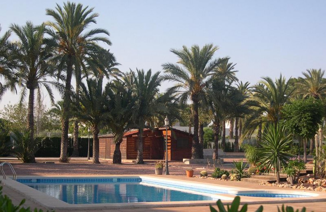 Återförsäljning -  - Elche