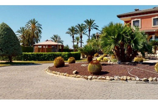 Återförsäljning -  - Elche