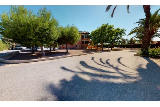 Återförsäljning -  - Elche