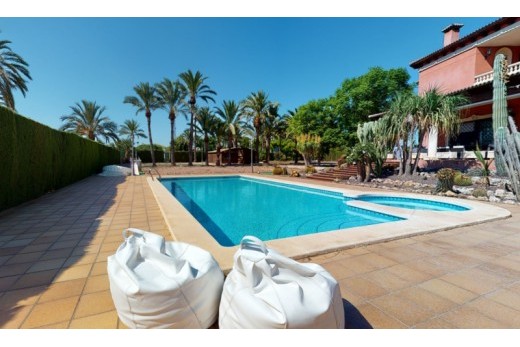 Återförsäljning -  - Elche