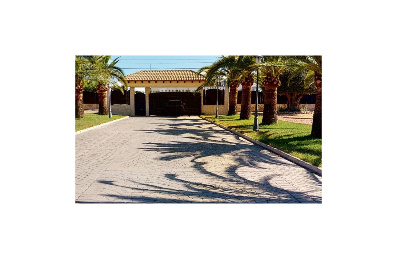 Återförsäljning -  - Elche