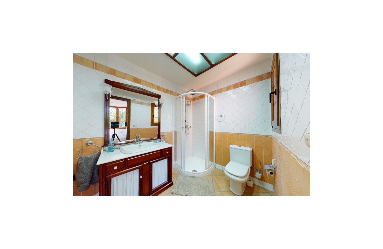 Återförsäljning -  - Elche