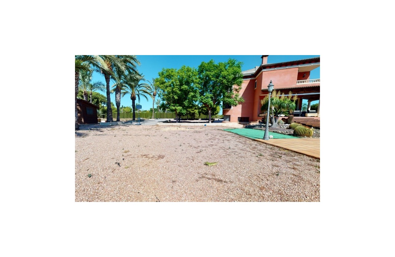 Återförsäljning -  - Elche