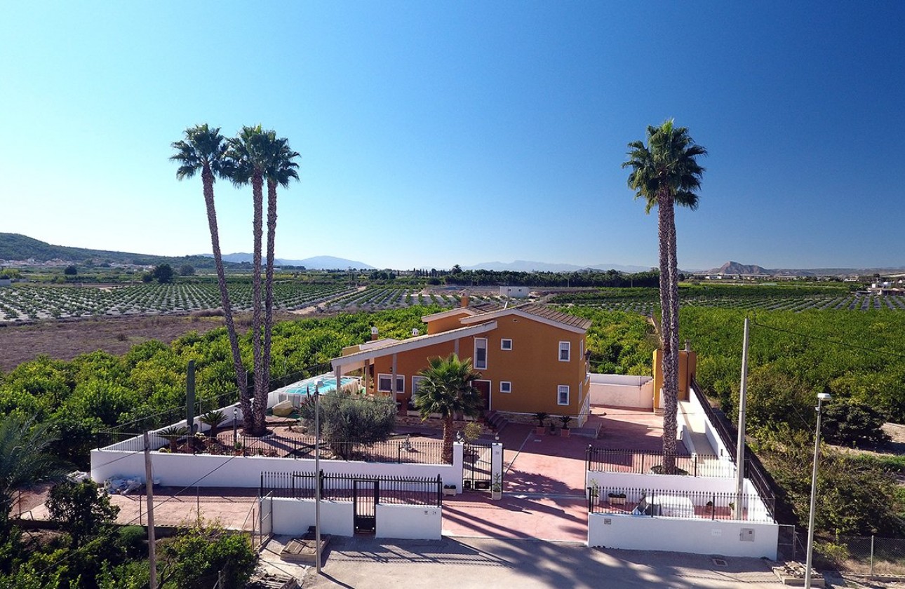 Återförsäljning - finca - Orihuela