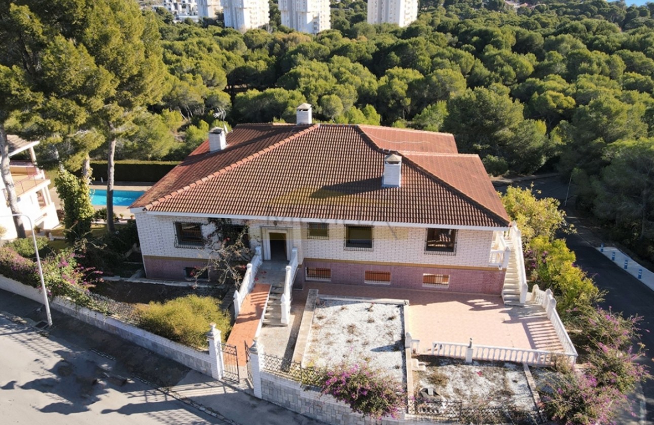 Återförsäljning -  - Campoamor