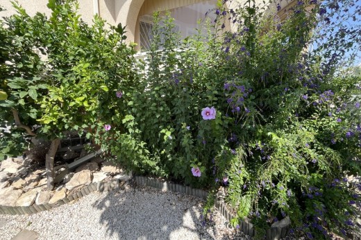 Reventa - Detached Villa - Ciudad Quesada