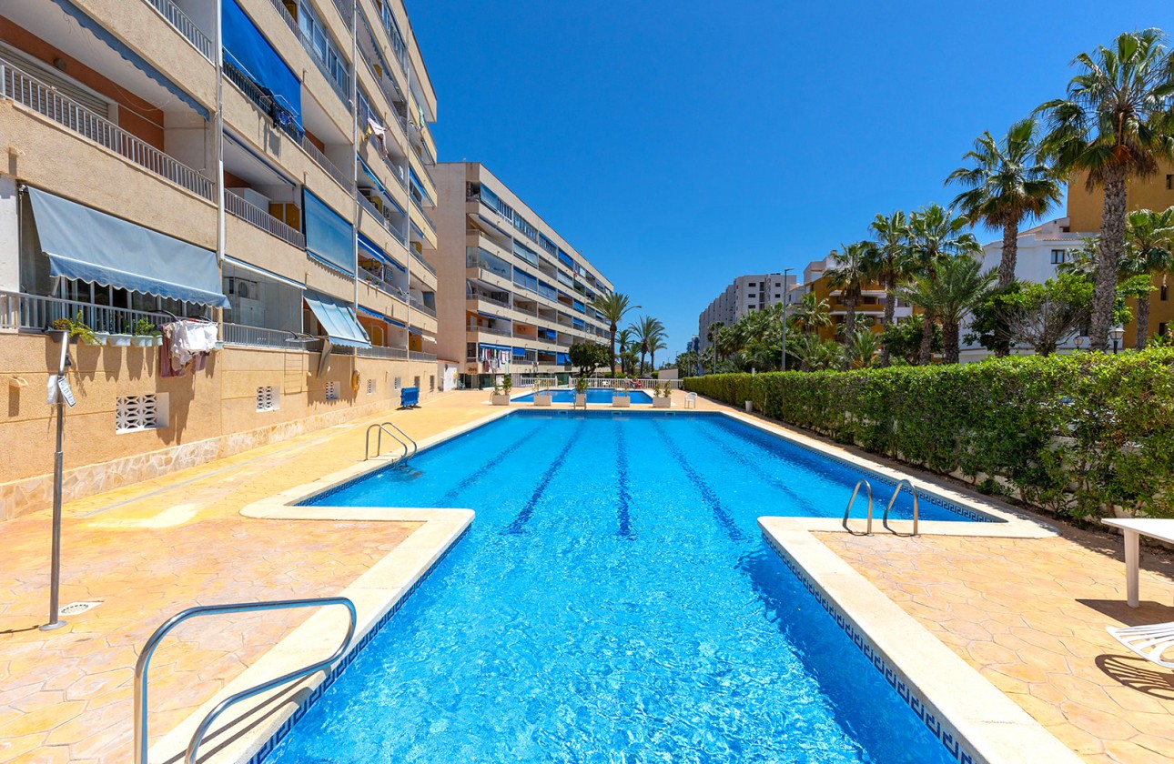 Resale - Apartment - Torrevieja - Rocio del Mar