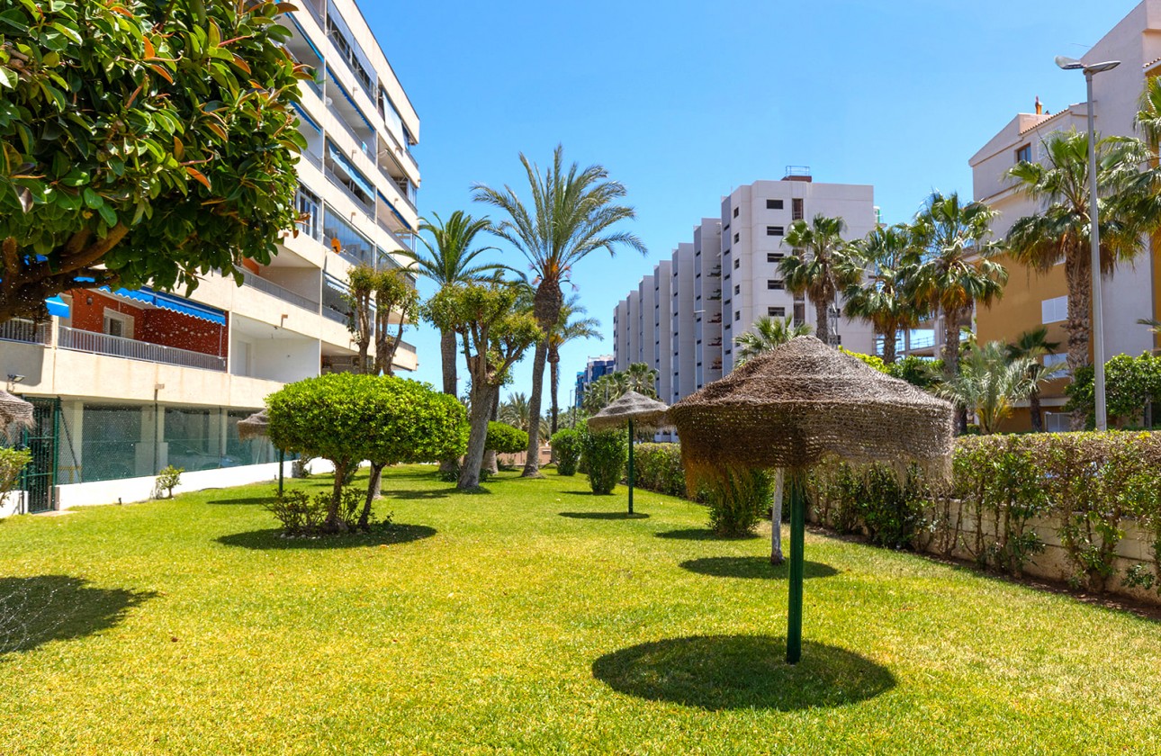 Resale - Apartment - Torrevieja - Rocio del Mar