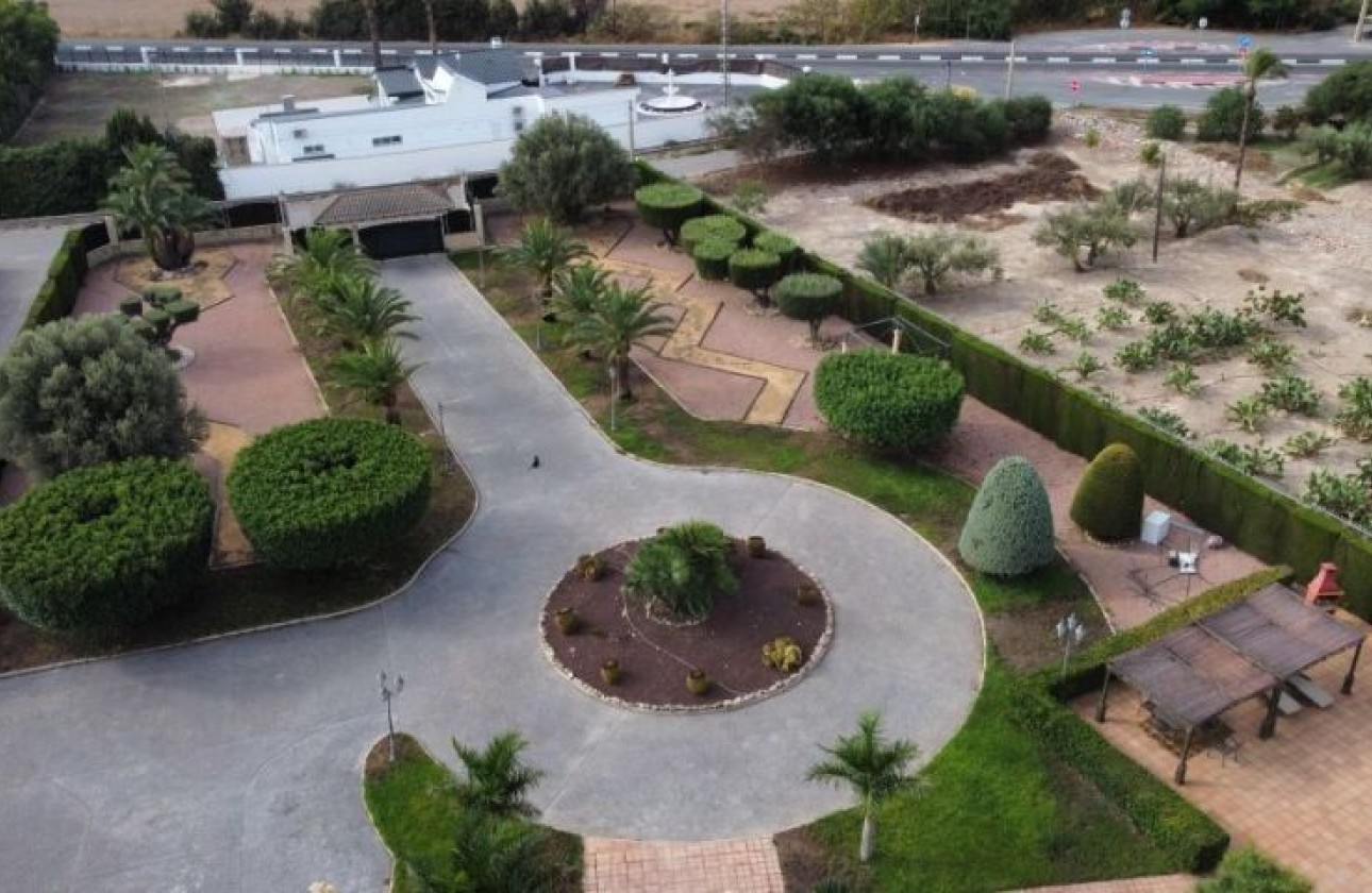 Återförsäljning -  - Elche