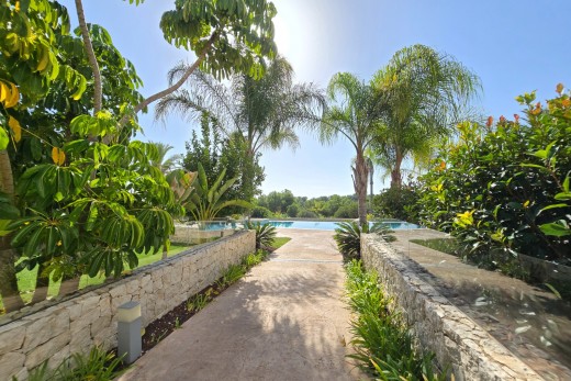 Återförsäljning -  - Pilar De La Horadada - Lo Romero Golf