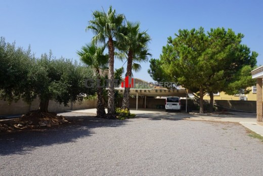 Återförsäljning -  - LA PALMA