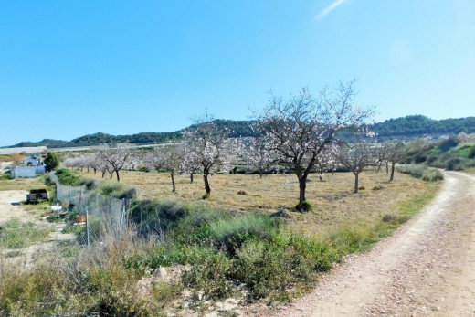 Resale - finca - Torremendo