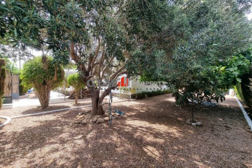 Reventa - Apartamento - LOS NAREJOS - Oasis