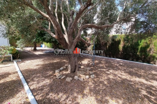 Reventa - Apartamento - LOS NAREJOS - Oasis