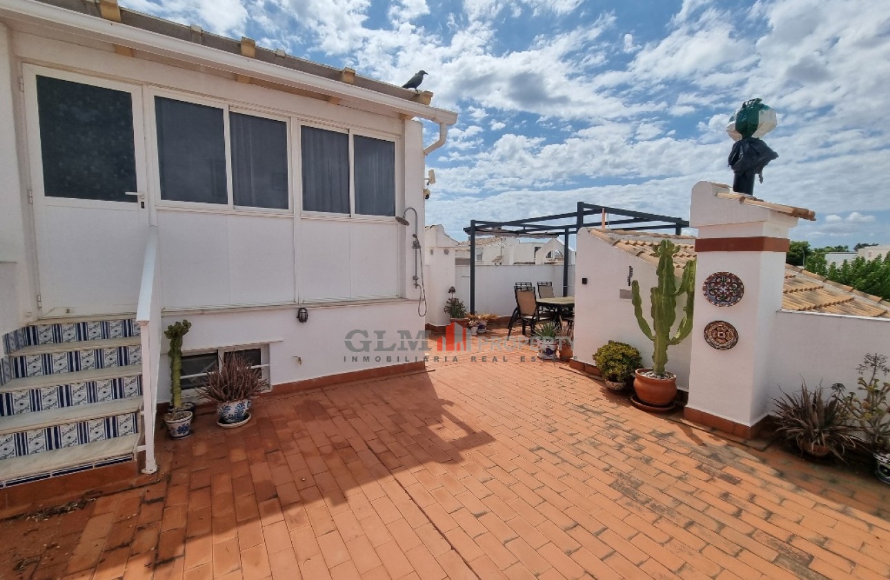 Återförsäljning -  - LOS NAREJOS - Oasis