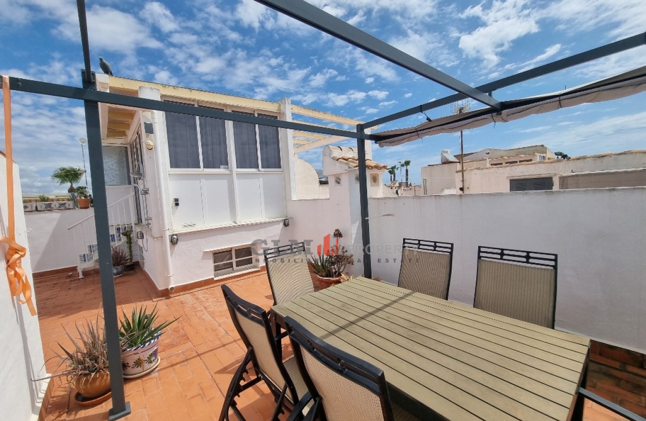 Återförsäljning -  - LOS NAREJOS - Oasis