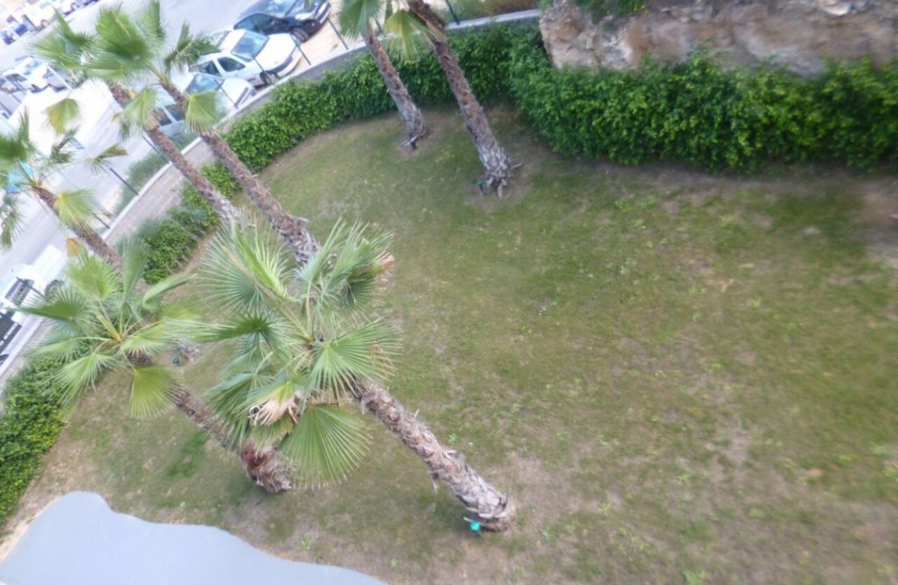 Resale - Apartment - Los Altos