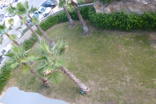 Resale - Apartment - Los Altos