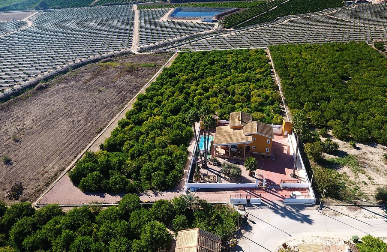 Återförsäljning - finca - Orihuela