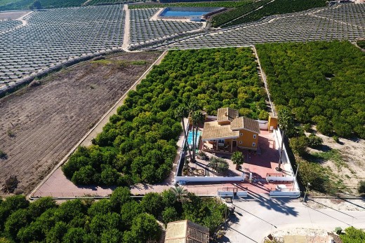 Återförsäljning - finca - Orihuela