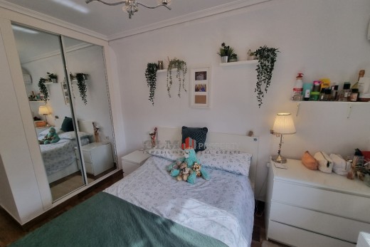 Återförsäljning -  - LOS NAREJOS - Oasis