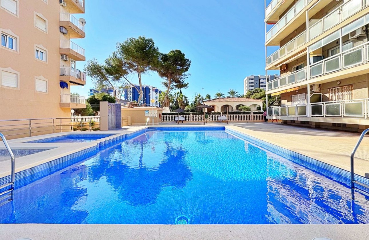 Reventa - Apartamento - Torrevieja - Rocio del Mar