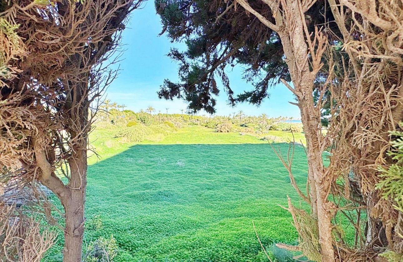 Reventa - Apartamento - Torrevieja - Rocio del Mar