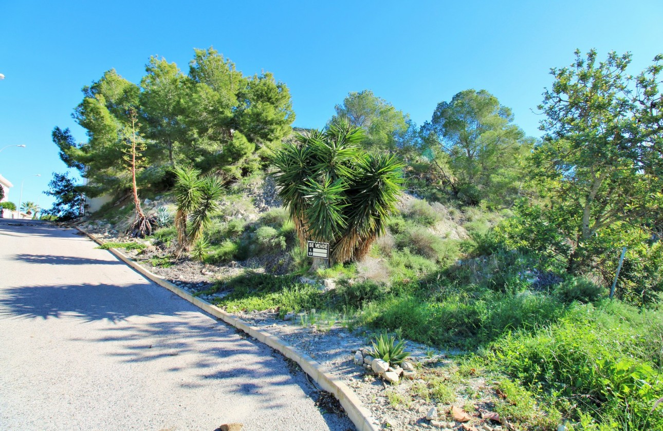 Reventa - Parcela - San Miguel De Salinas