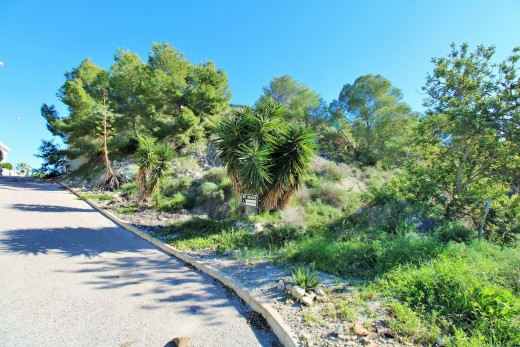 Reventa - Parcela - San Miguel De Salinas