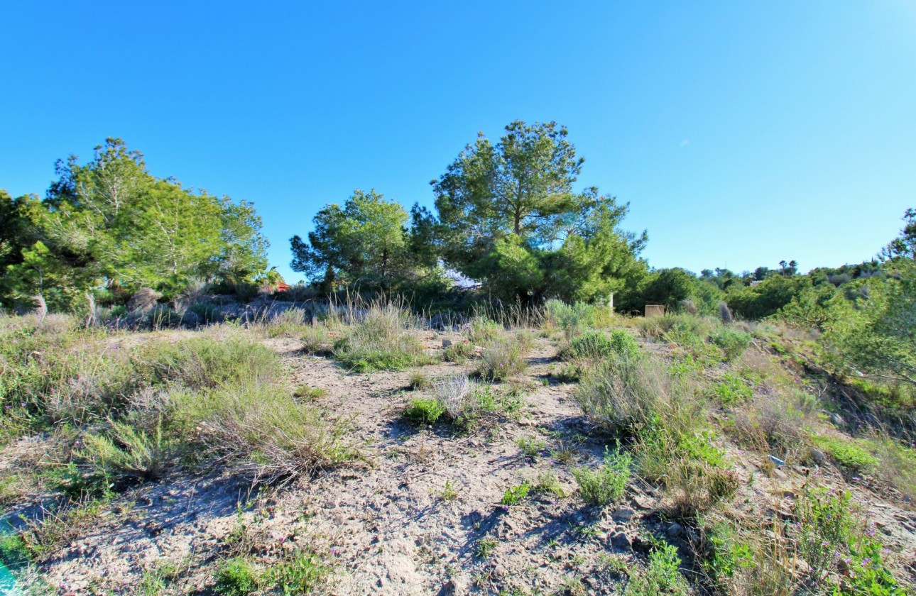 Återförsäljning -  - San Miguel De Salinas