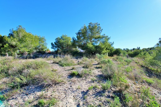 Återförsäljning -  - San Miguel De Salinas