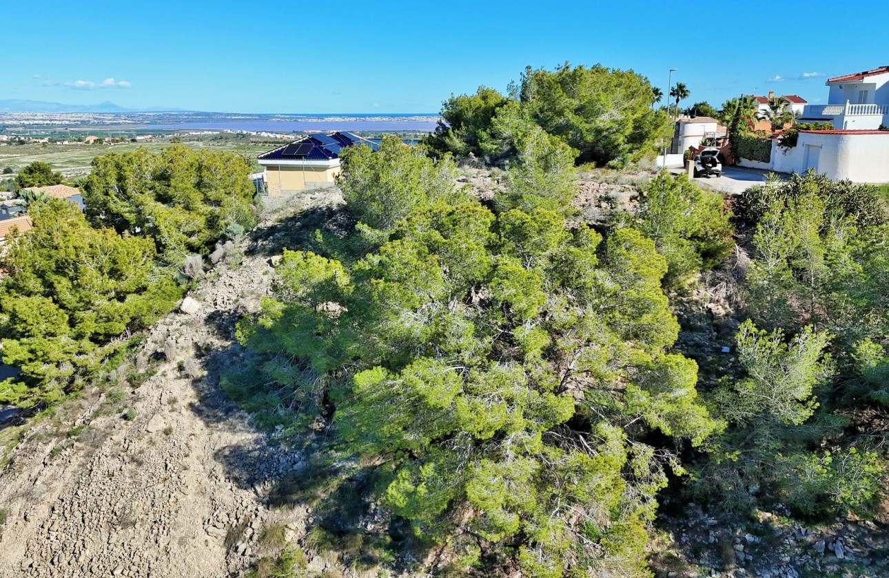 Återförsäljning -  - San Miguel De Salinas