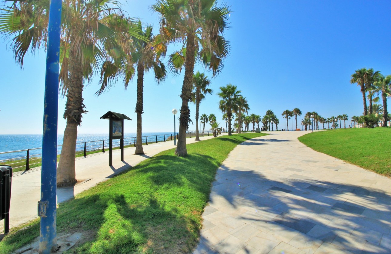 Reventa - Apartamento - Playa Flamenca