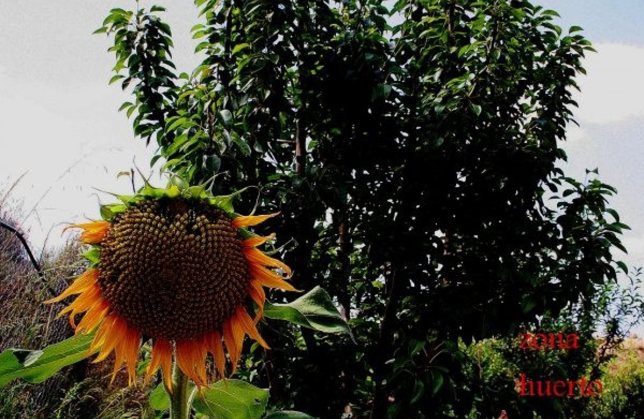 Reventa - Chalet - GEA Y TRUYOLS