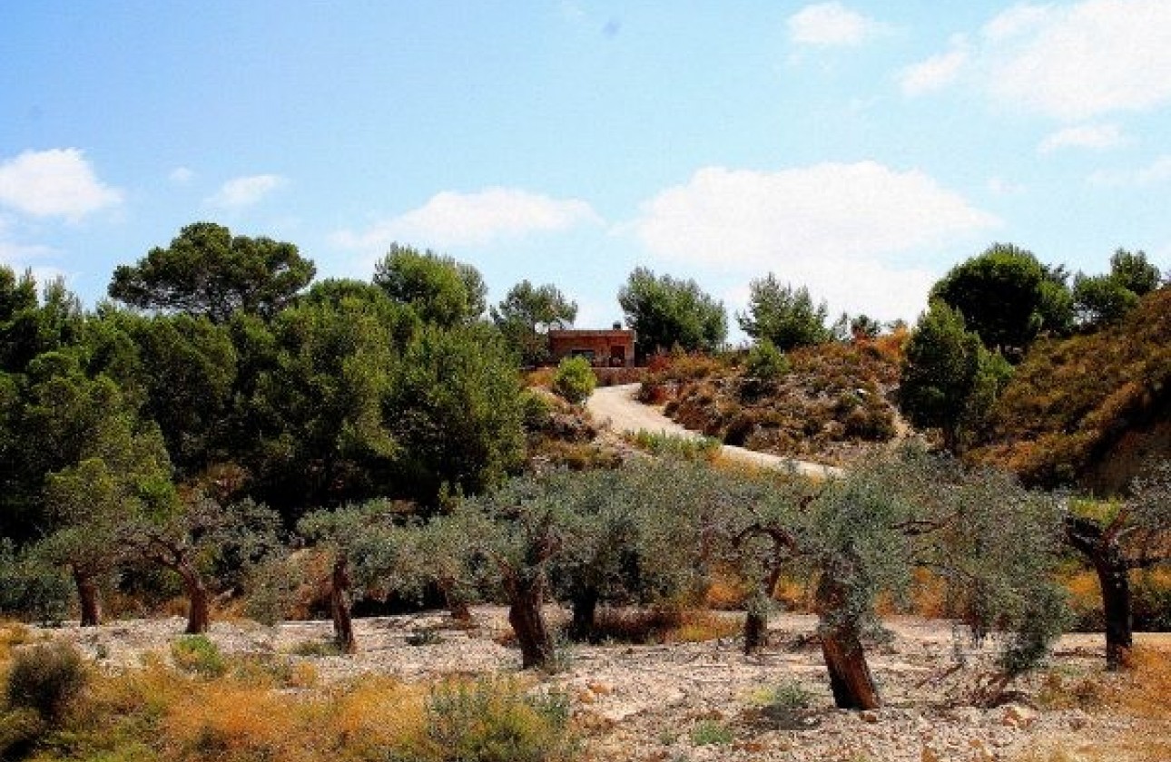 Reventa - Chalet - GEA Y TRUYOLS