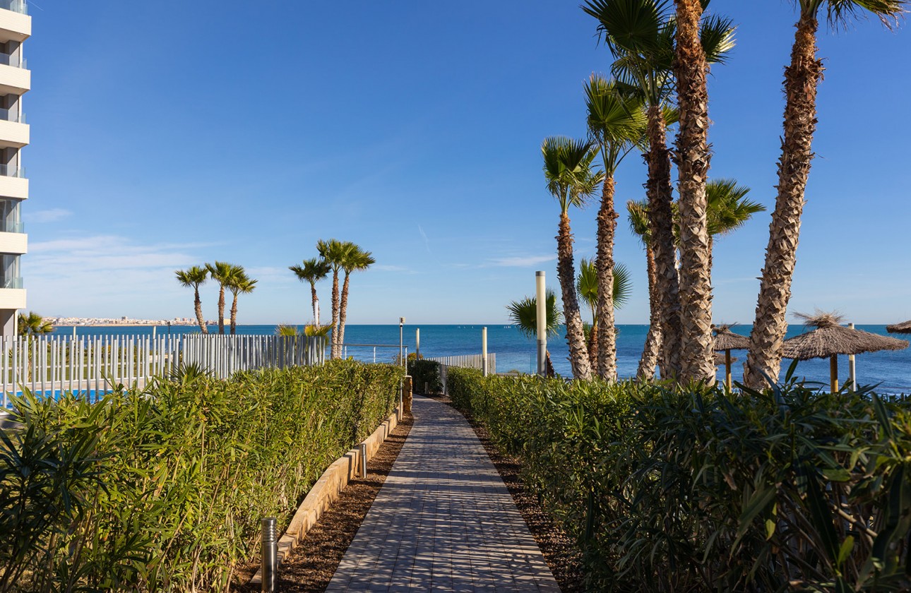 Reventa - Apartamento - Torrevieja - Punta prima